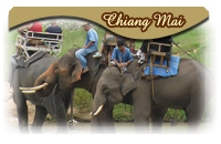 Chabad Chiang Mai Tourist Information